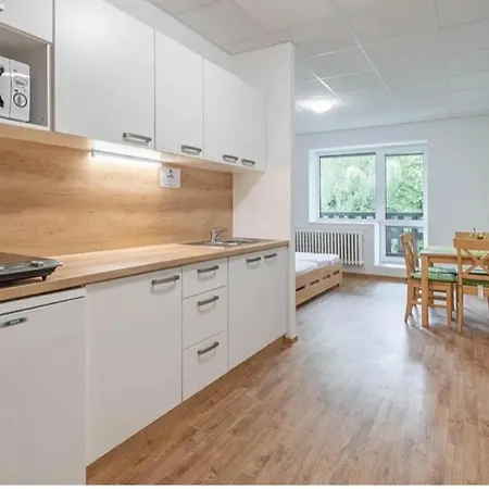 V Zelezne Rude U Sjezdovky S Vlastnim Parkovanim Homestay Zelezna Ruda